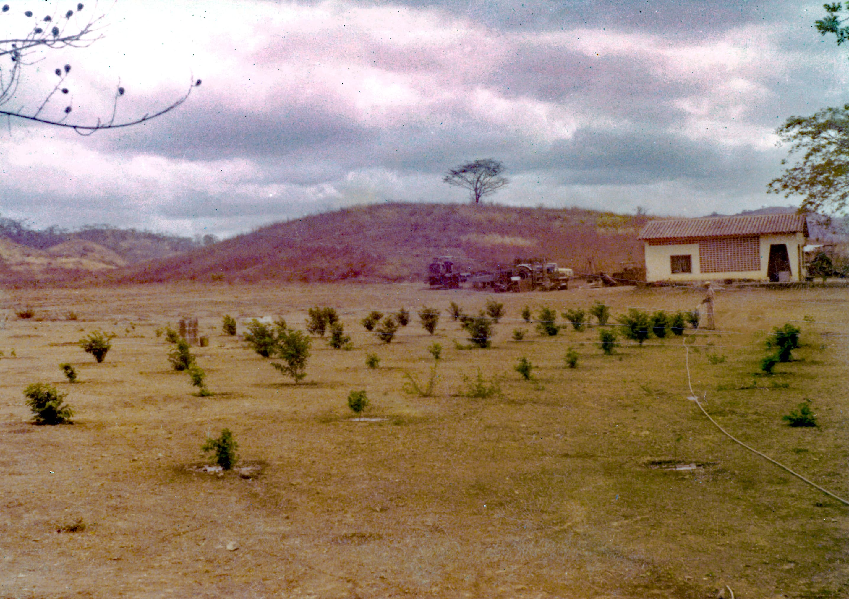 Portrait - after restoration